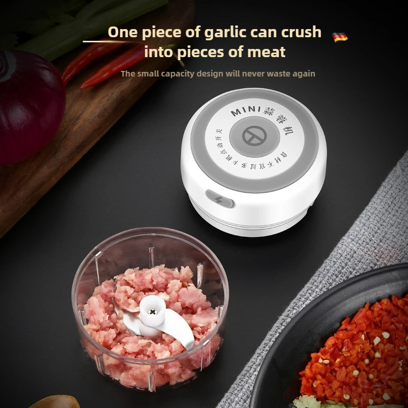 Electric Mini Garlic Chopper 1 - Baby Food Vegetable recensie en prijs