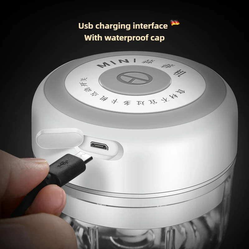 Electric Mini Garlic Chopper 1 - Baby Food Vegetable recensie en prijs